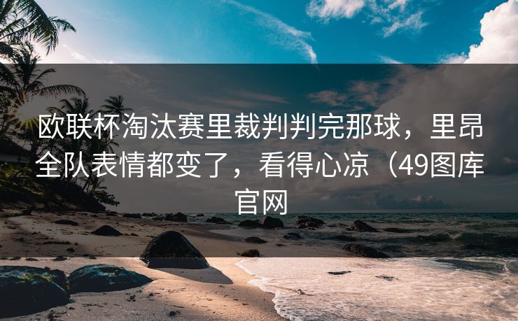 欧联杯淘汰赛里裁判判完那球,里昂全队表情都变了,看得心凉(49图库官网